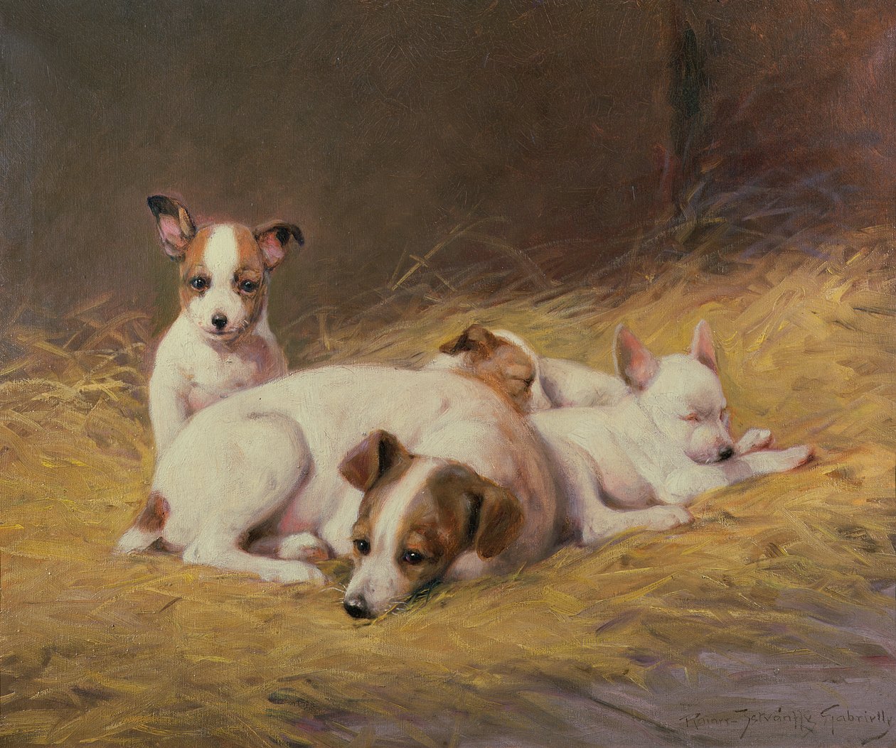 Een terriër met drie puppy