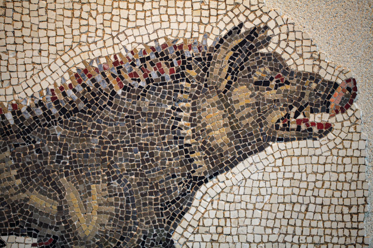Romeins mozaïek door Gallo-Roman