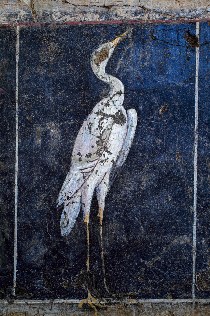 Romeinse muurschildering door Gallo-Roman