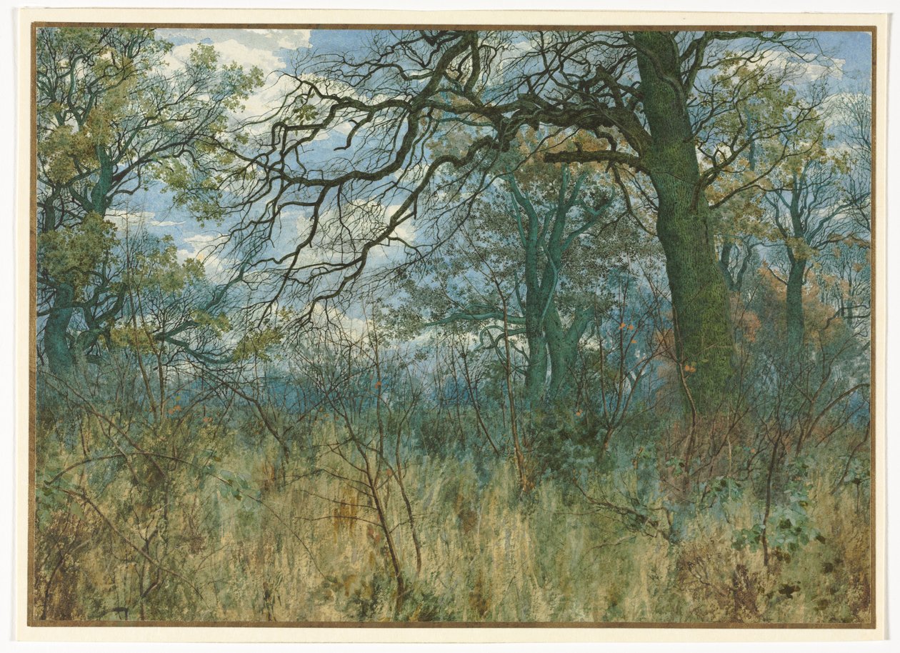 Bomen en Onderbegroeiing, 1885 door Garden William Fraser