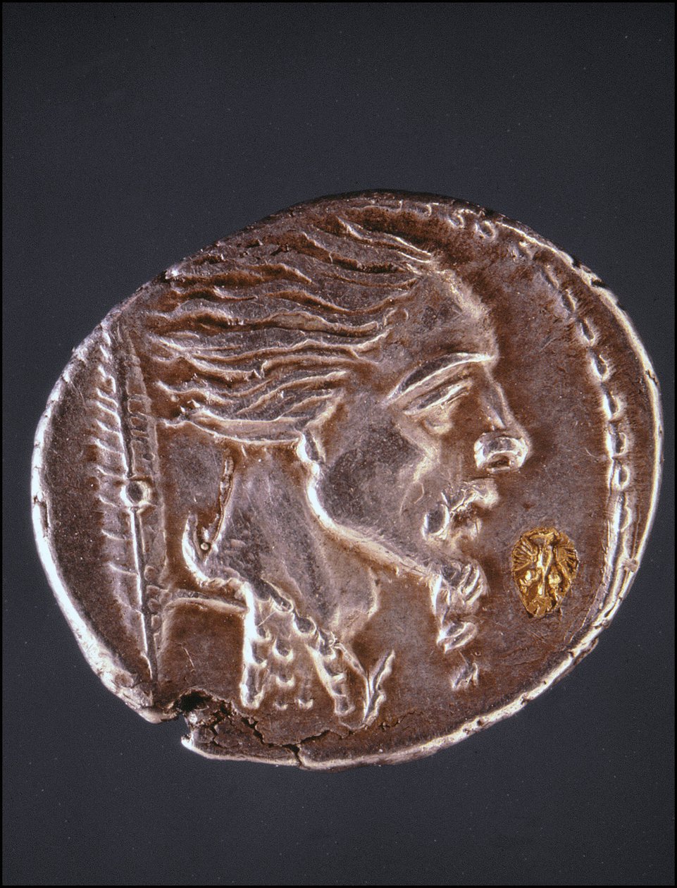 Vermoedelijk profiel van Vercingetorix op een Gallische munt. Museo del Medagliere. Milaan door Gaulish Gaulish