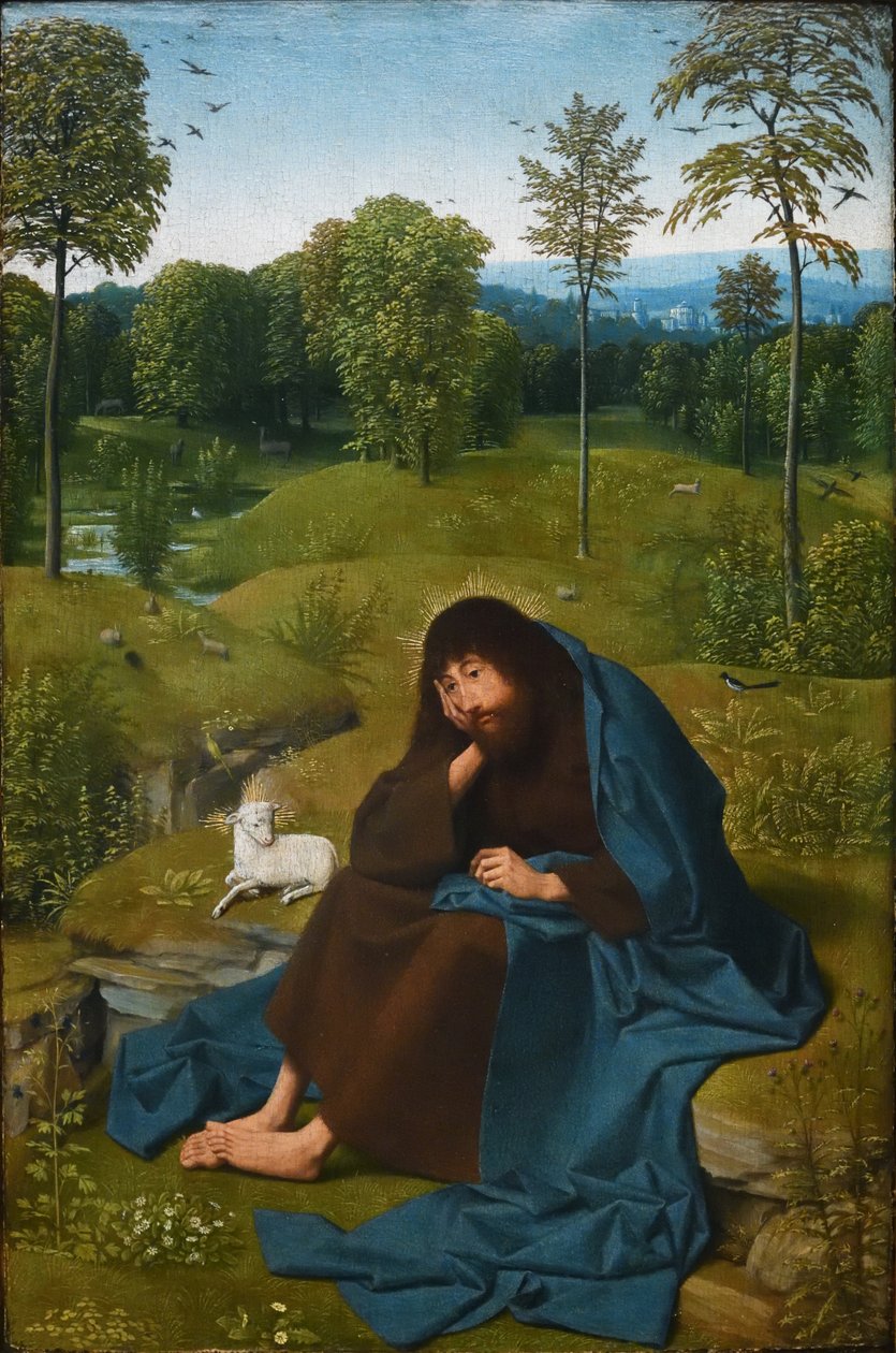 Johannes de Doper in de woestijn door Geertgen Tot sint Jans