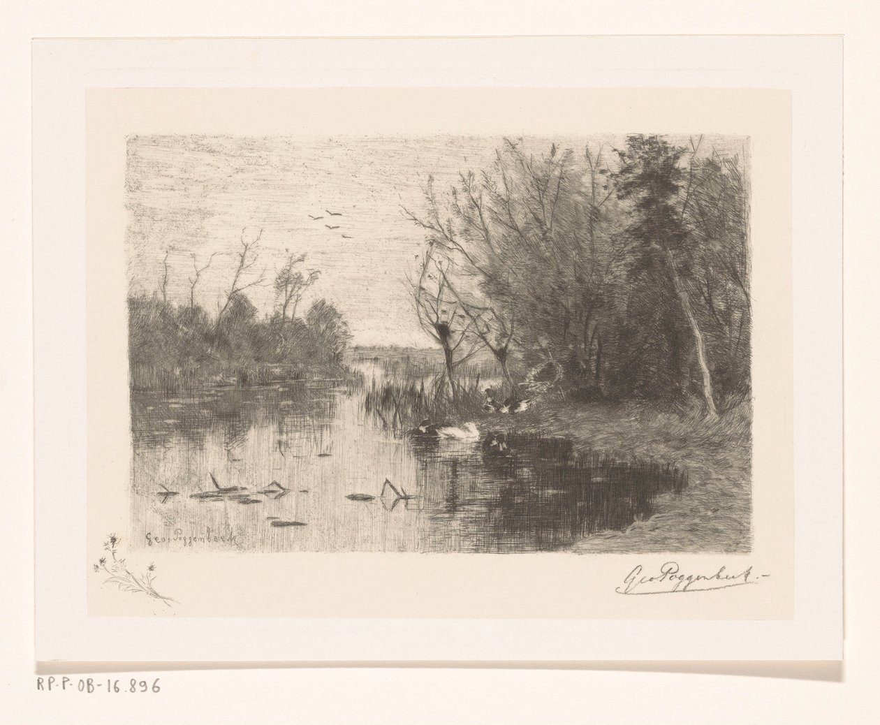 Eenden langs en op de oever van een plas door Geo Poggenbeek (signed by artist)