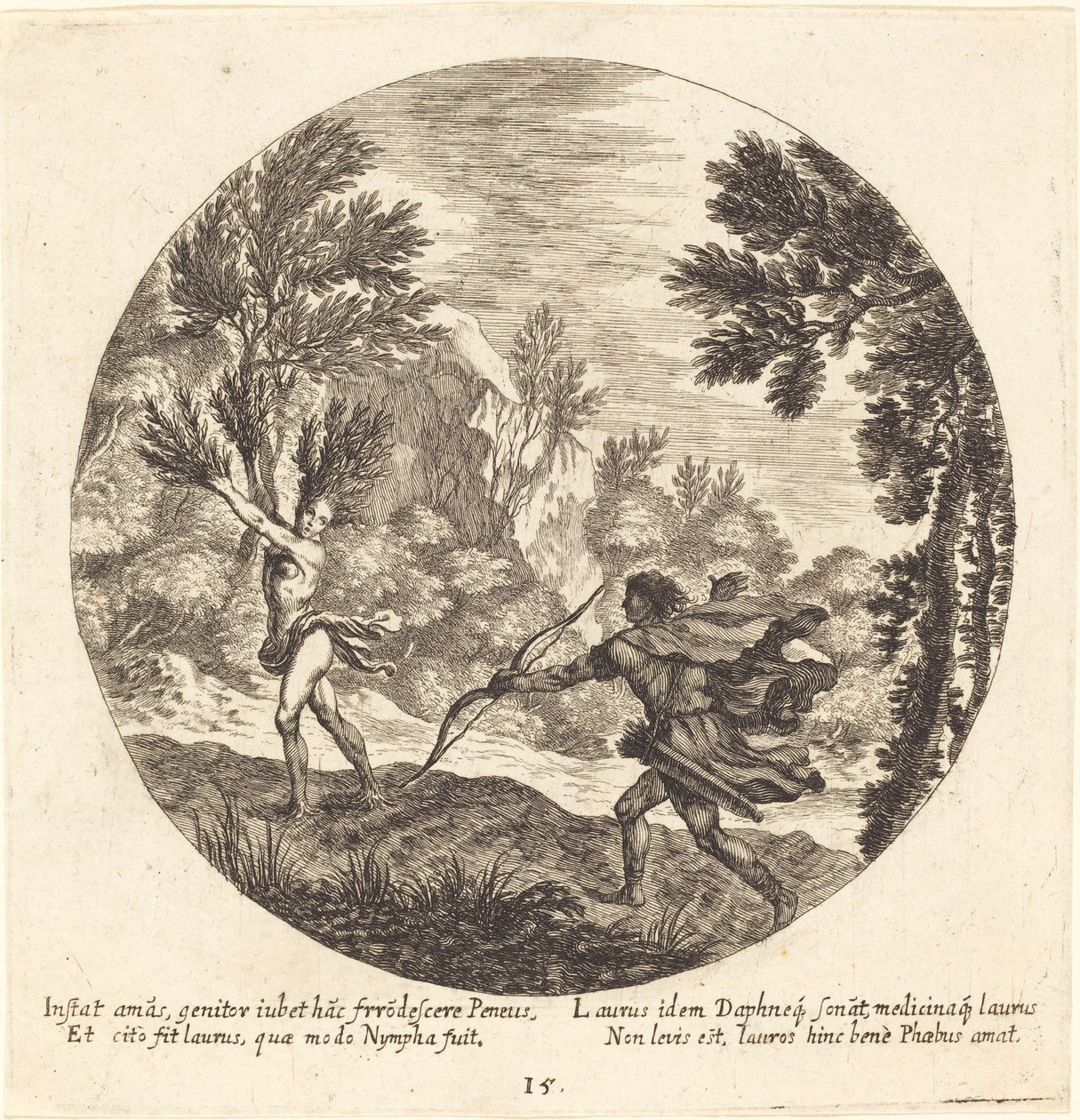 Daphne Verandert in een Laurier door Georg Andreas Wolfgang the Elder