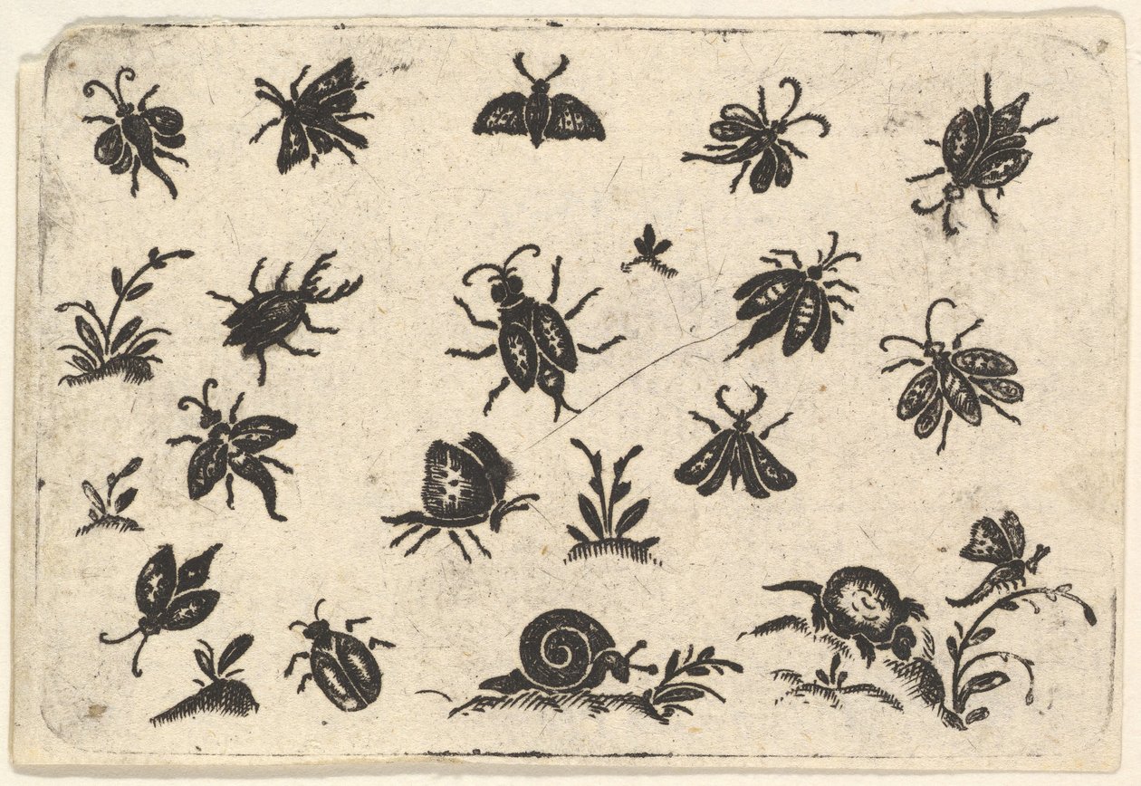Kleine motieven van insecten en planten door Georg Herman