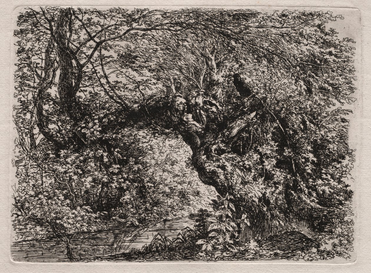 De Oude Wilg bij een Beek, 1794 door Georg von Dillis