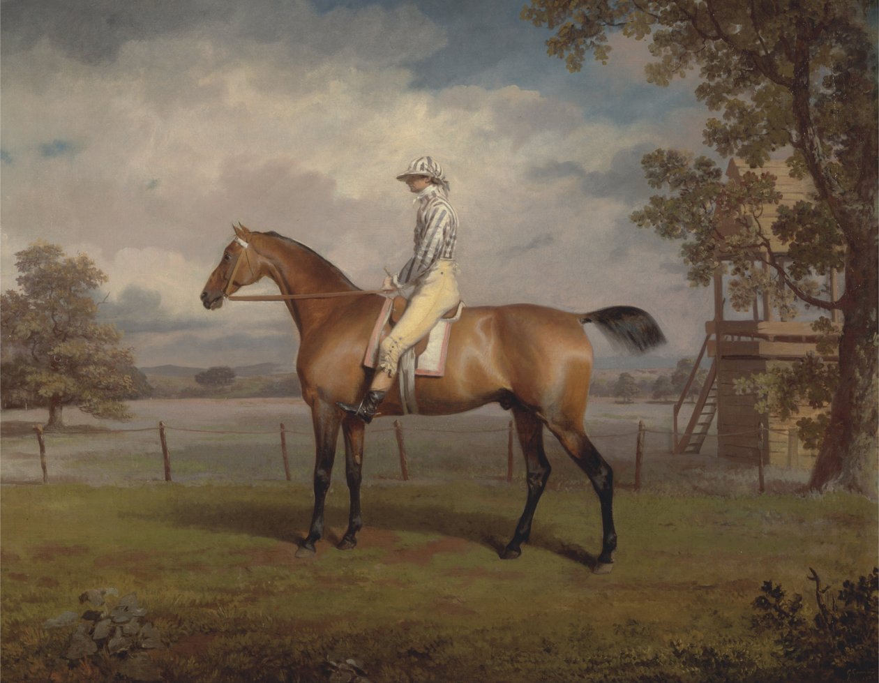 Portret van een renpaard, mogelijk Disguise, eigendom van de hertog van Hamilton, met jockey door George Garrard