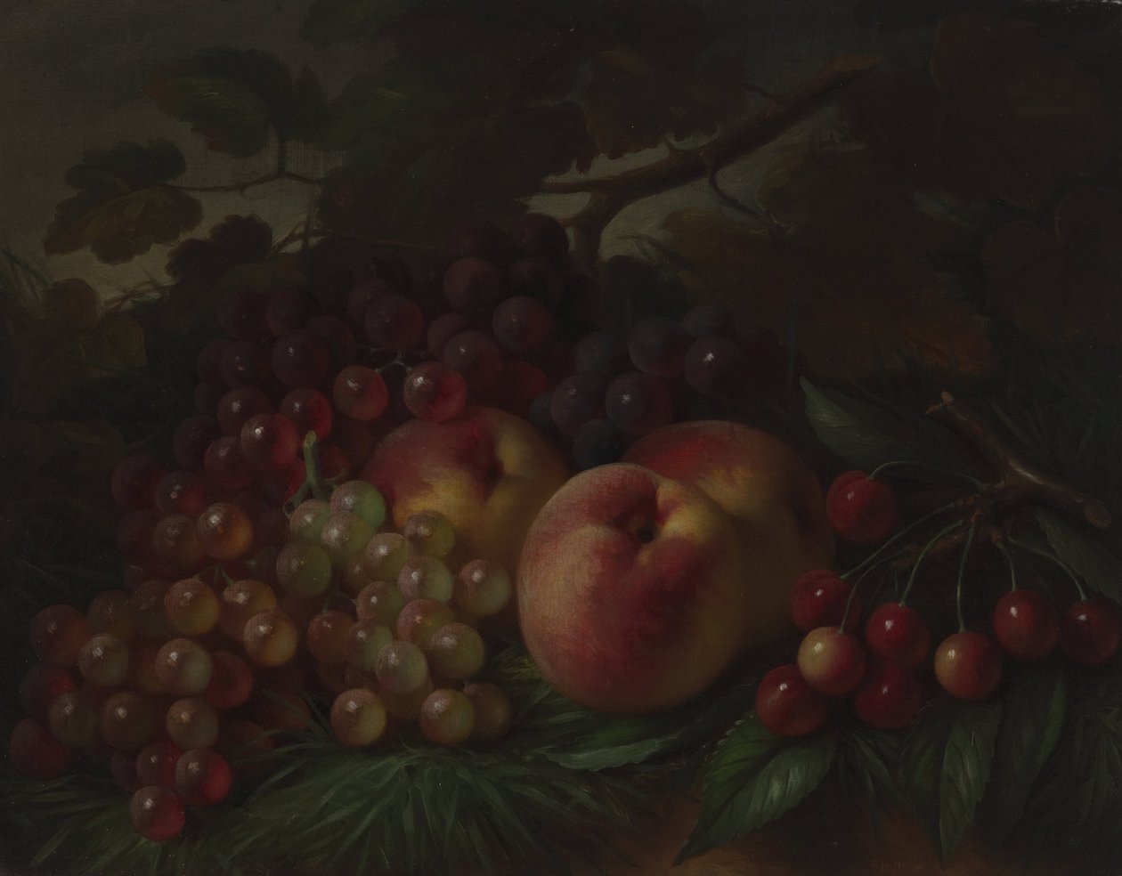 Perziken, druiven en kersen door George Henry Hall