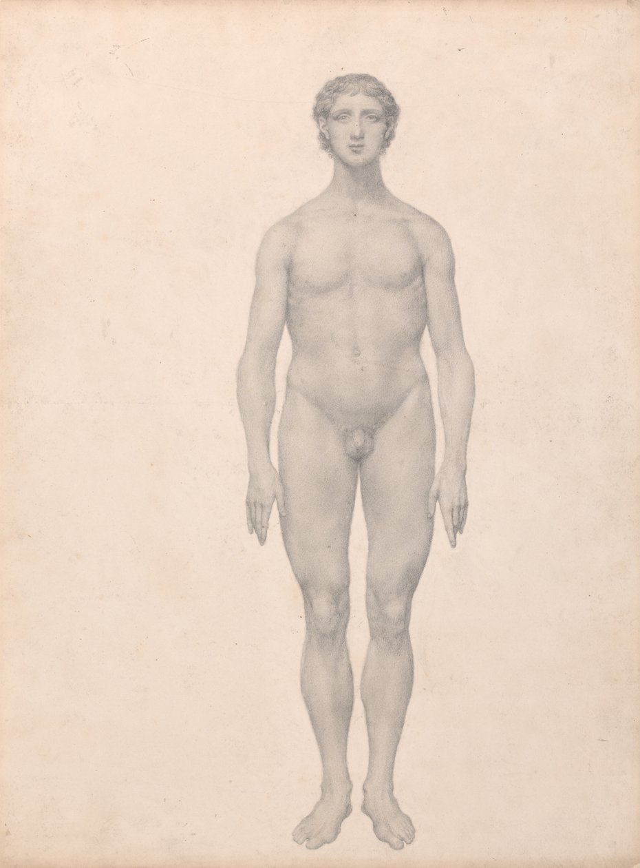 Vergelijkende anatomische expositie van de structuur van het menselijk lichaam met dat van een tijger en een koe door George Stubbs