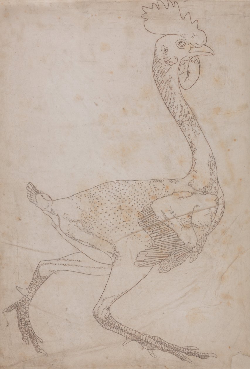 Een vergelijkende anatomische expositie van de structuur van het menselijk lichaam met dat van een tijger en een koe door George Stubbs
