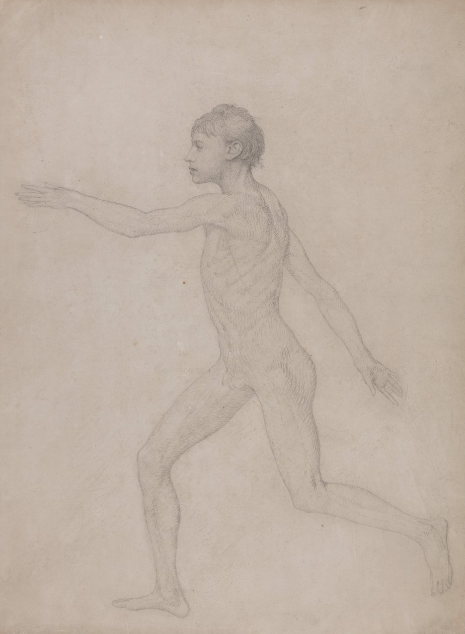 Een Vergelijkende Anatomische Expositie van de Structuur van het Menselijk Lichaam met die van een Tijger en een Koe door George Stubbs