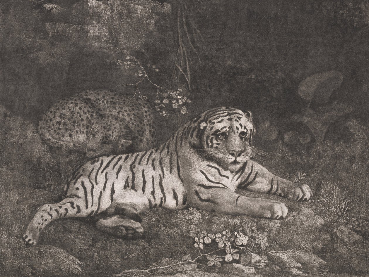 Een tijger en een slapende luipaard door George Stubbs