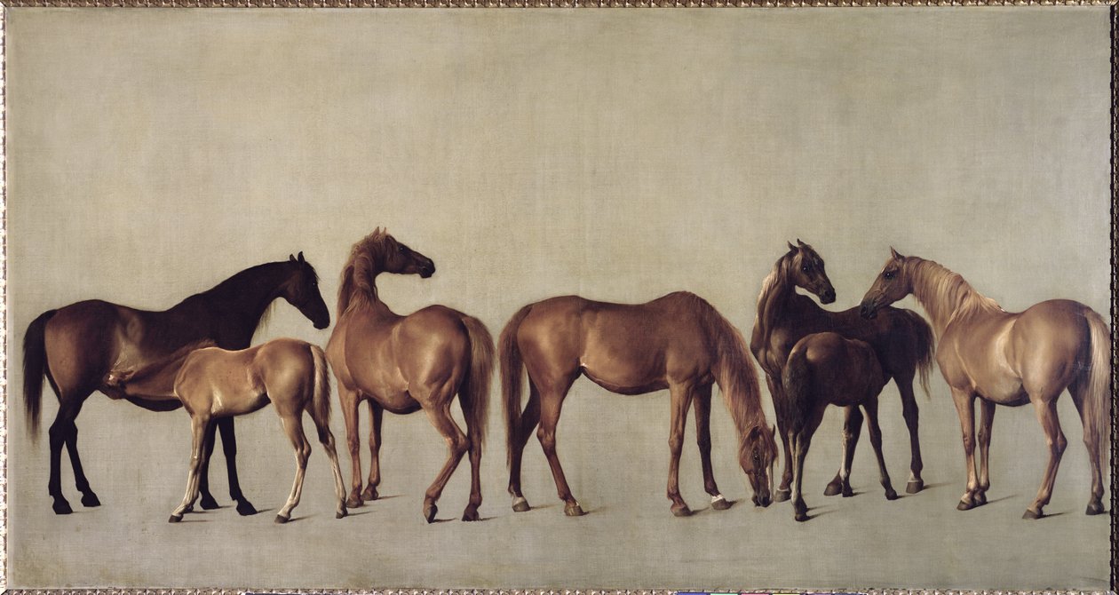 Merries en veulens zonder achtergrond, ca. 1762 door George Stubbs