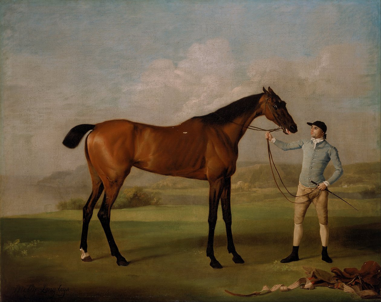 Molly Lange Benen met haar Jockey door George Stubbs