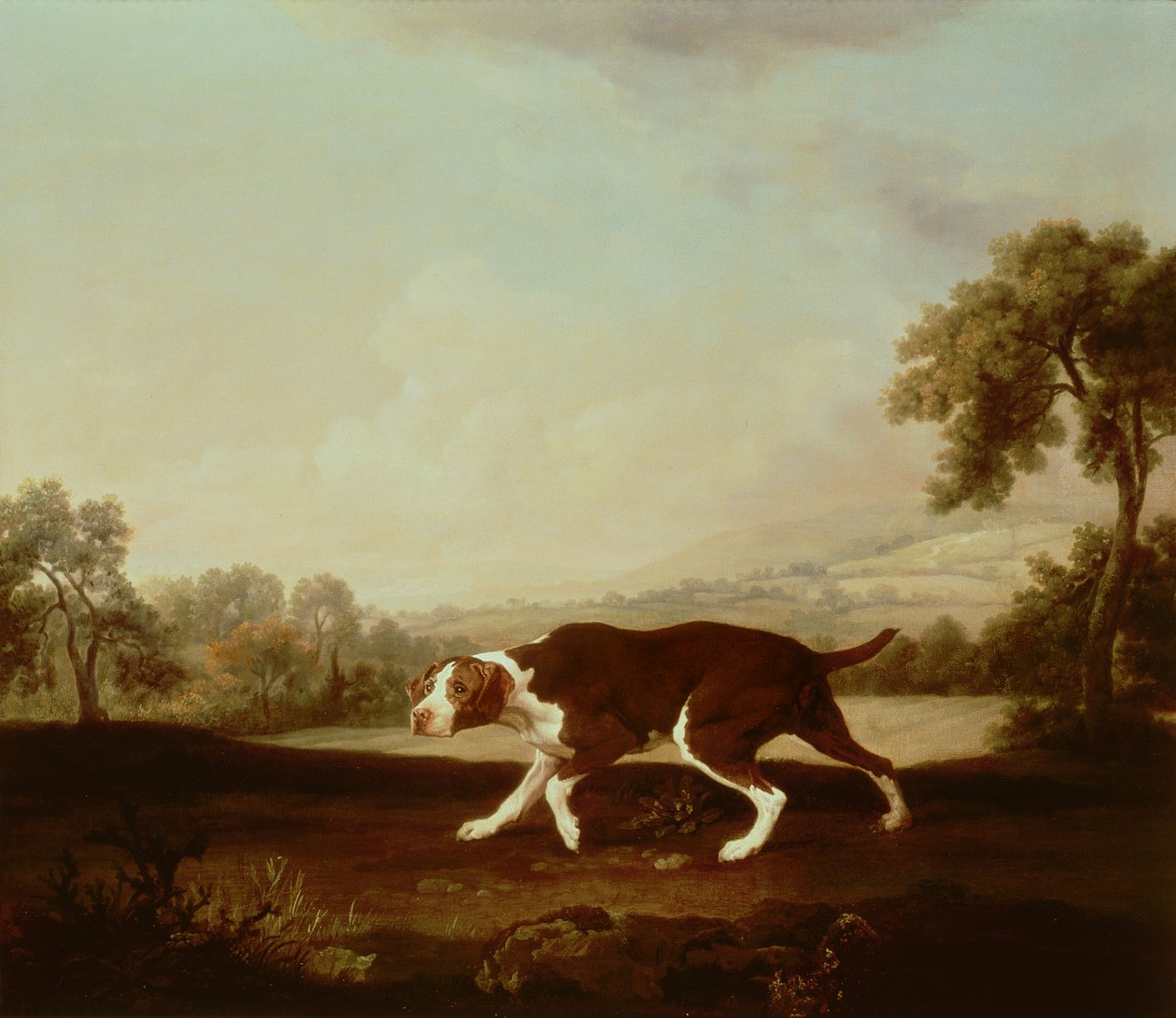 Spaanse Pointer door George Stubbs