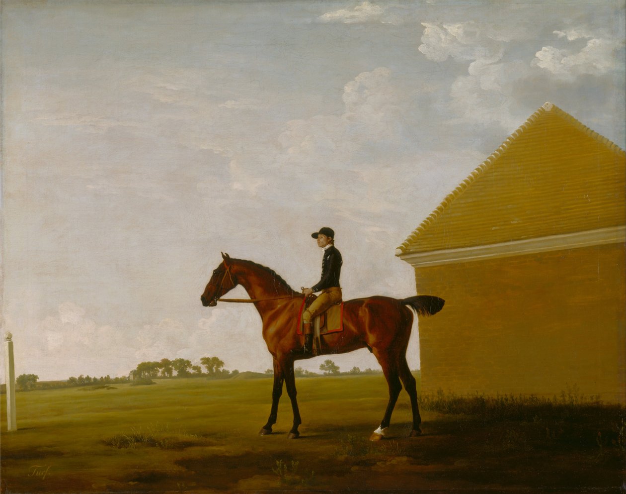 Turf, met jockey op, in Newmarket door George Stubbs