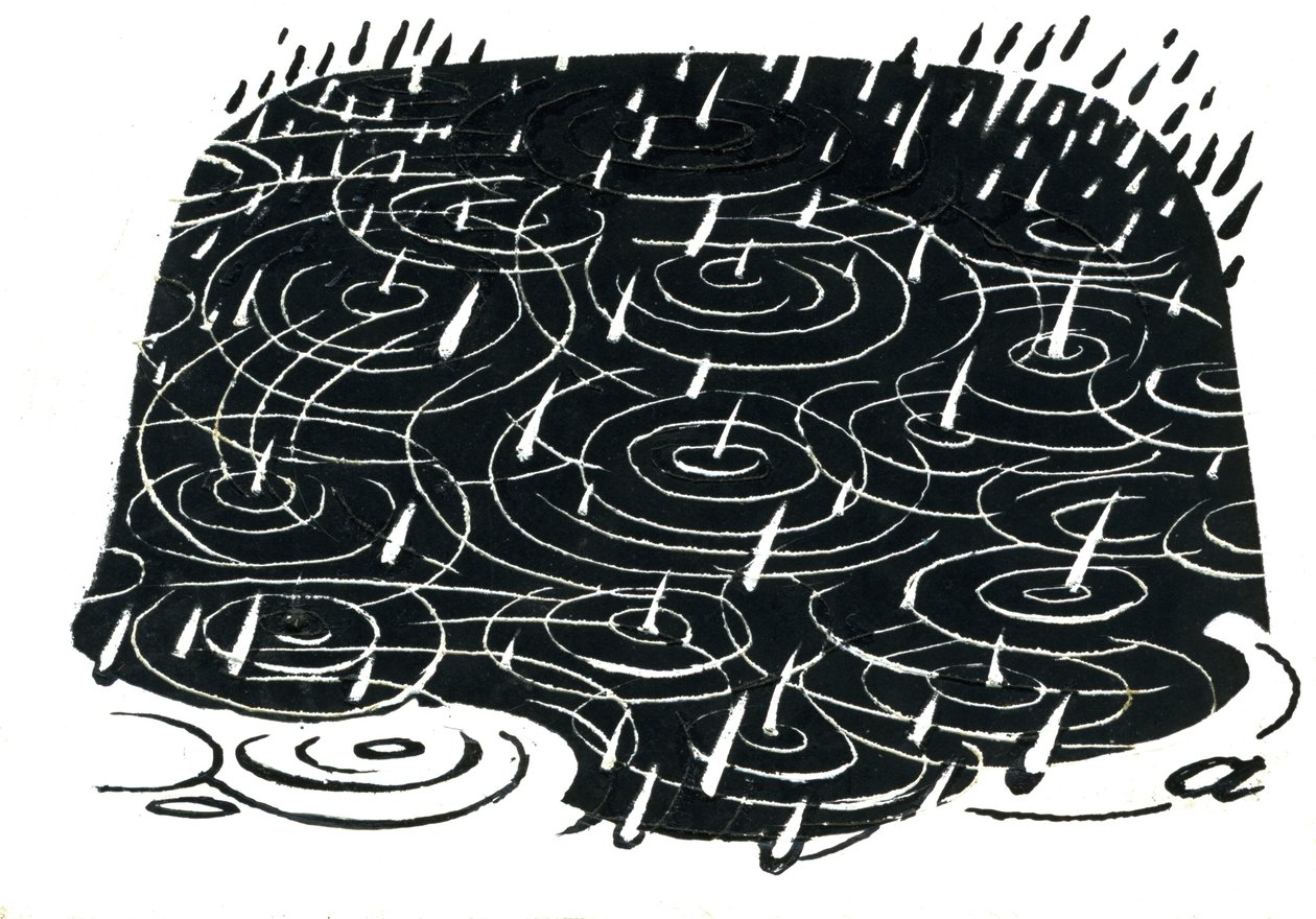 Regenplas ontwerp door George Adamson
