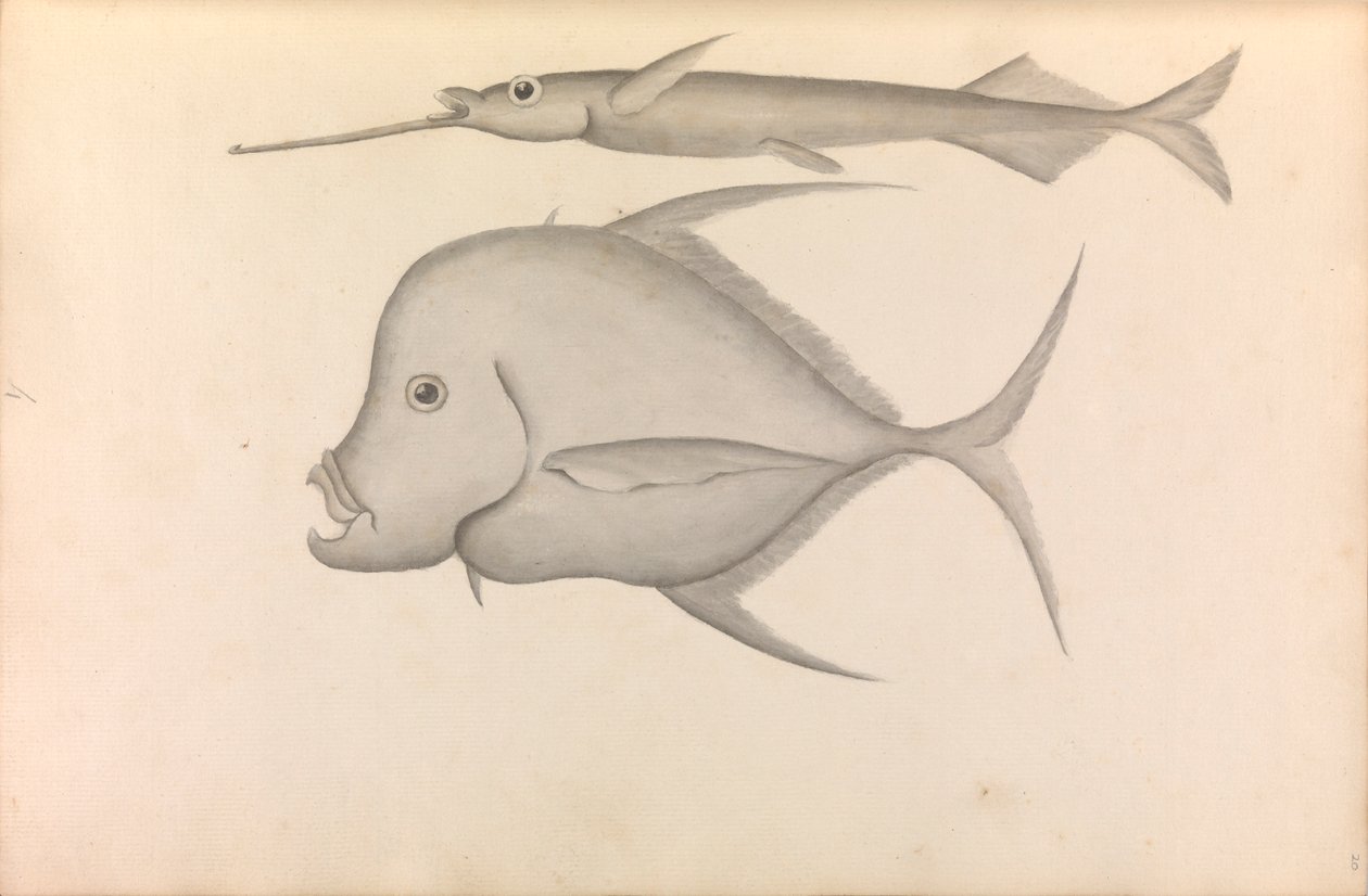 Verslag van Commodore George Anson