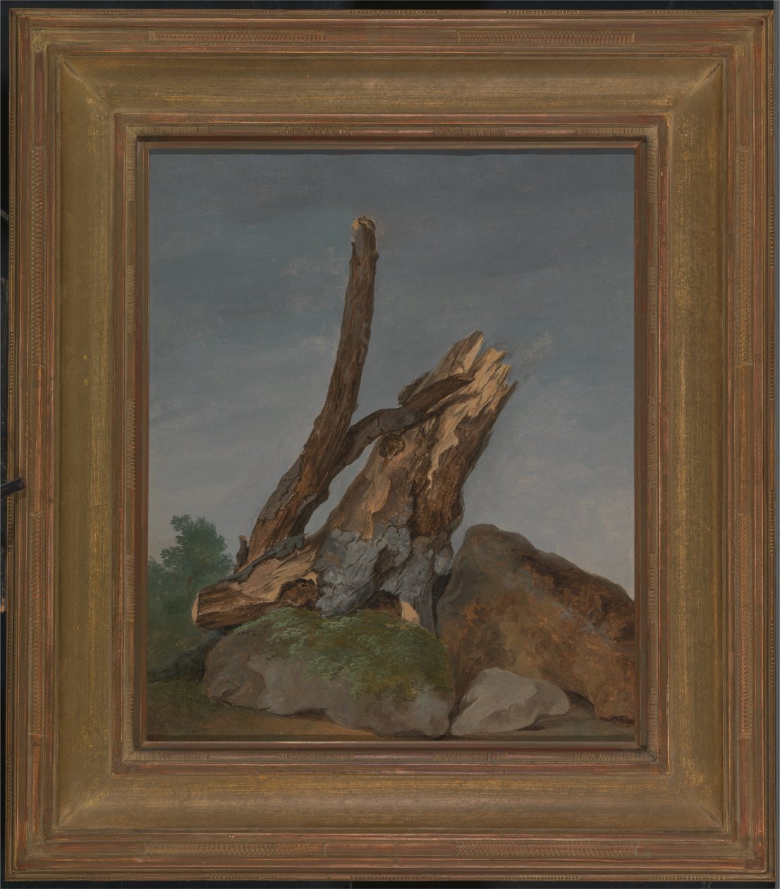 Studie van rotsen en takken door George Augustus Wallis