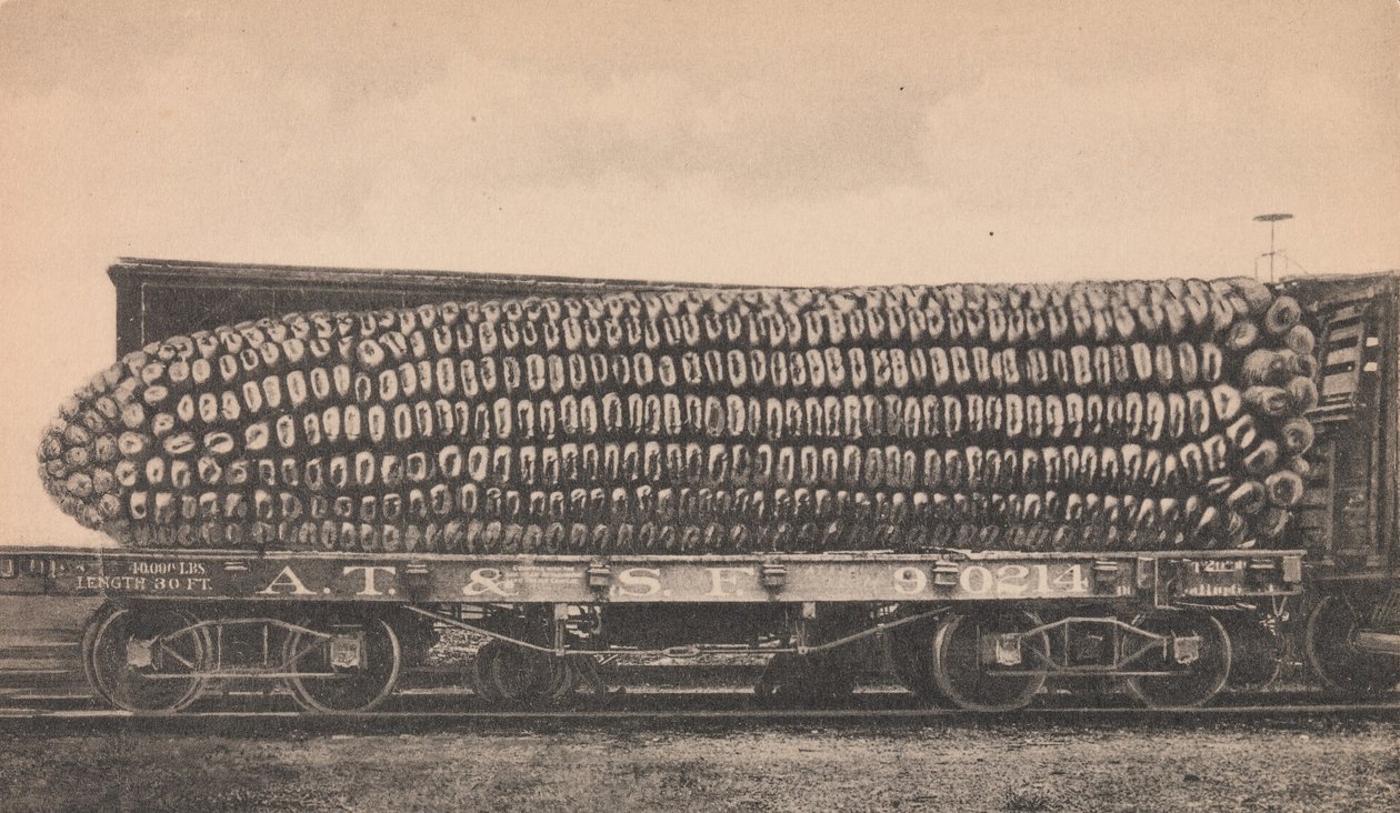 Een Wagen Vol Texaanse Maïs, ca. 1910 door George B. Cornish