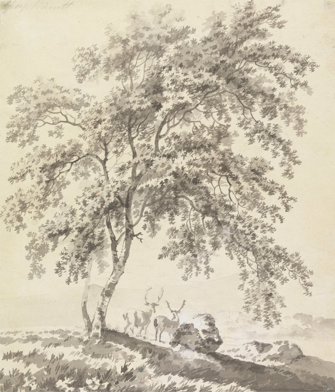 Boomstudie met herten (landschap) door George Barret