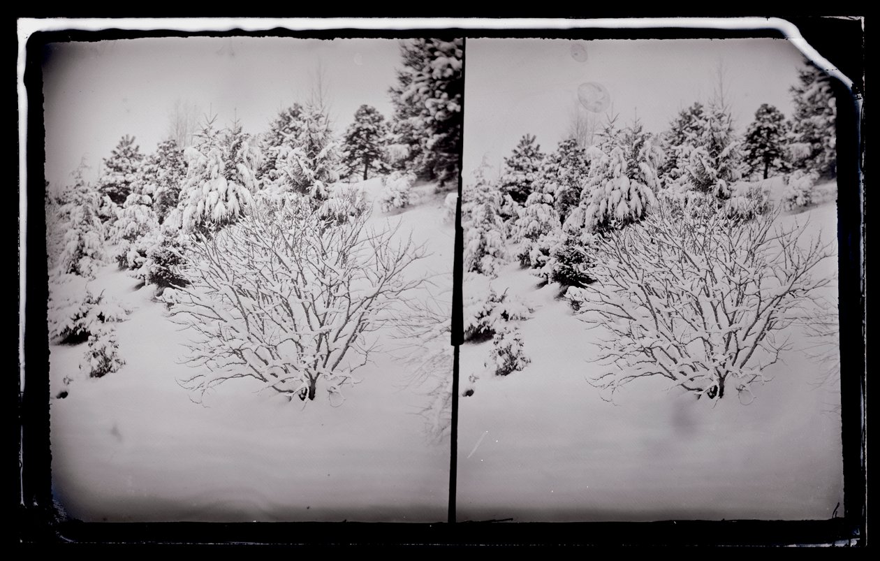 Prospect Park, Brooklyn, ca. 1872-87 door George Bradford Brainerd