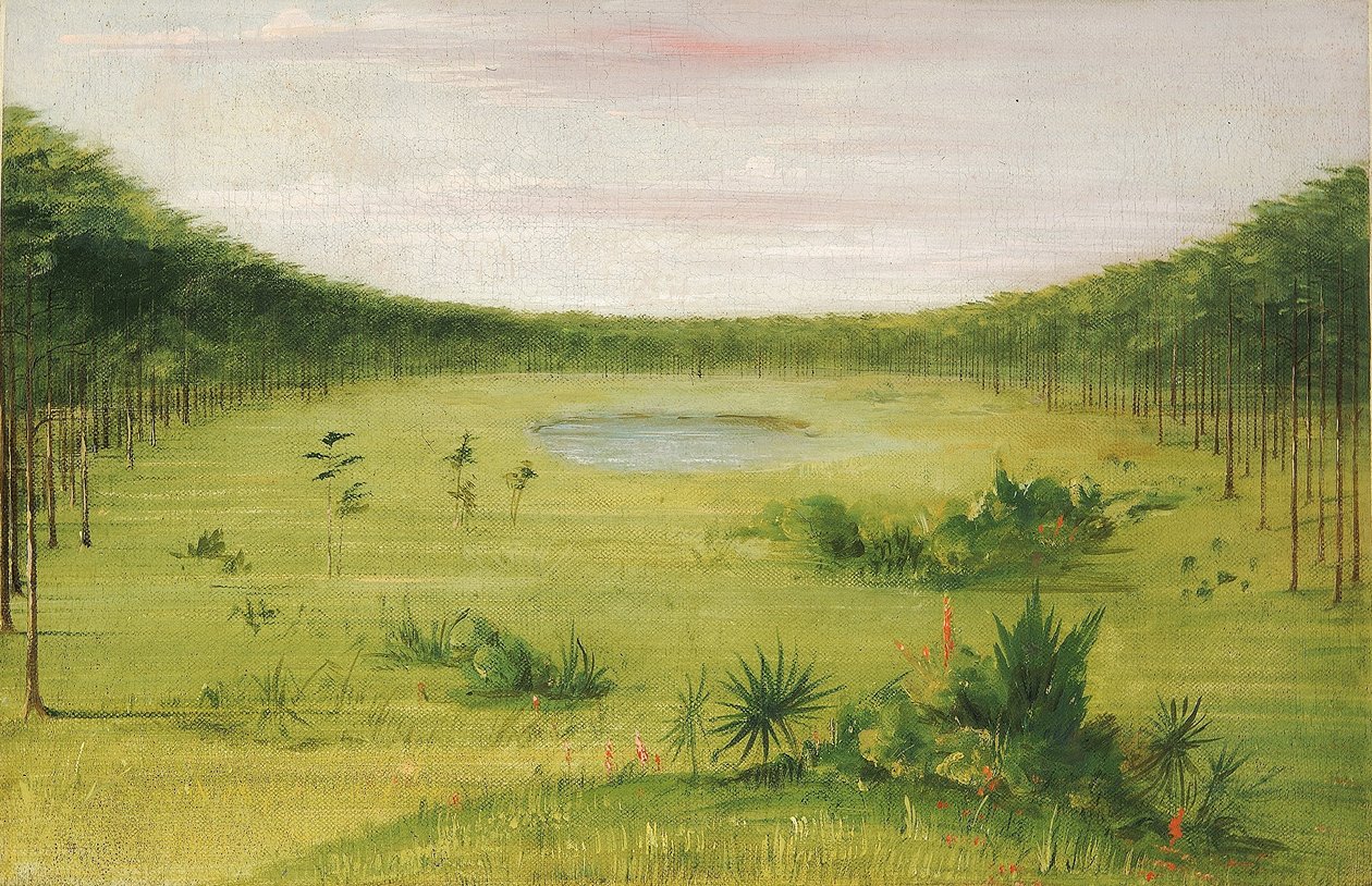 Prachtige savanne in de dennenbossen van Florida door George Catlin
