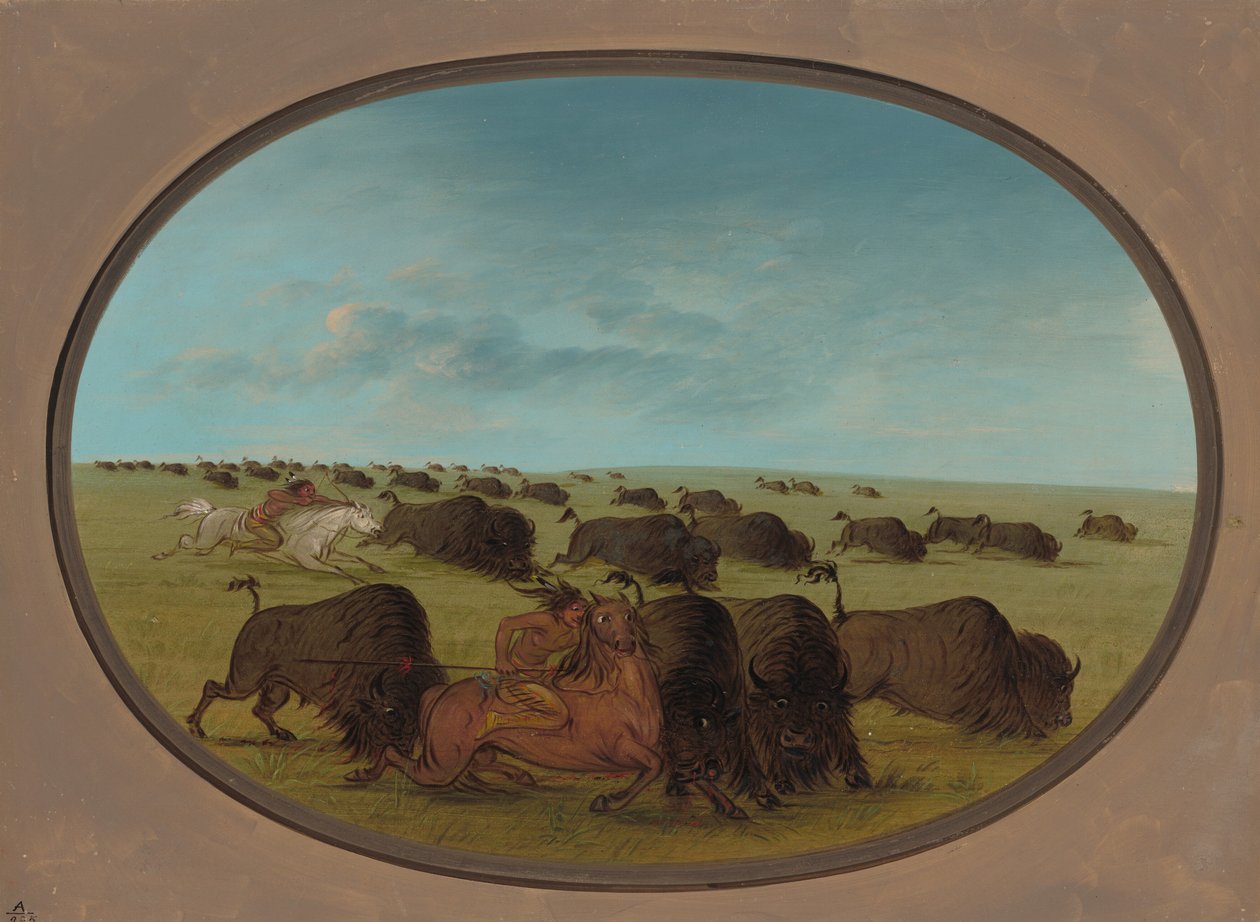 Buffeljacht, met Ongelukken, 1861-1869 door George Catlin