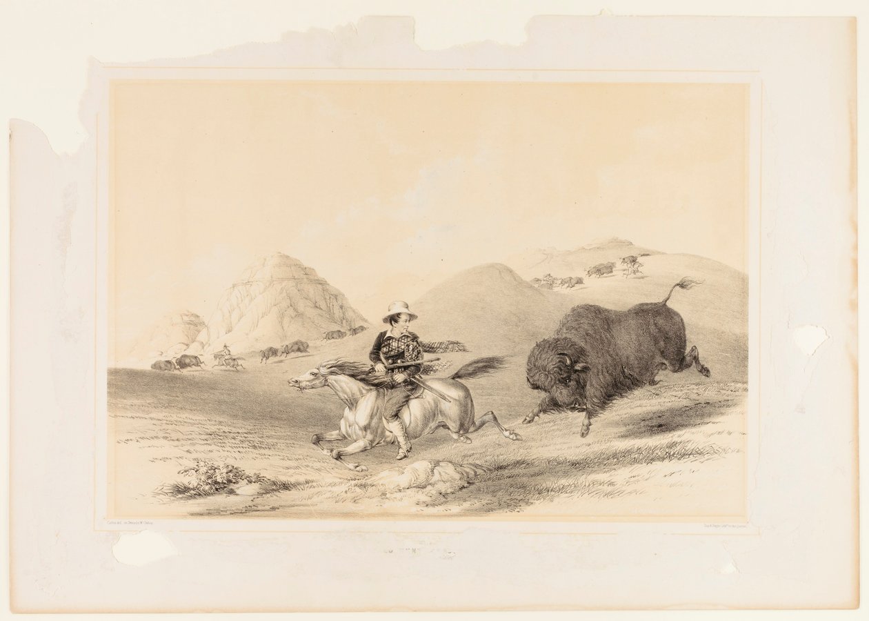 Buffeljacht terug nr. 12 door George Catlin