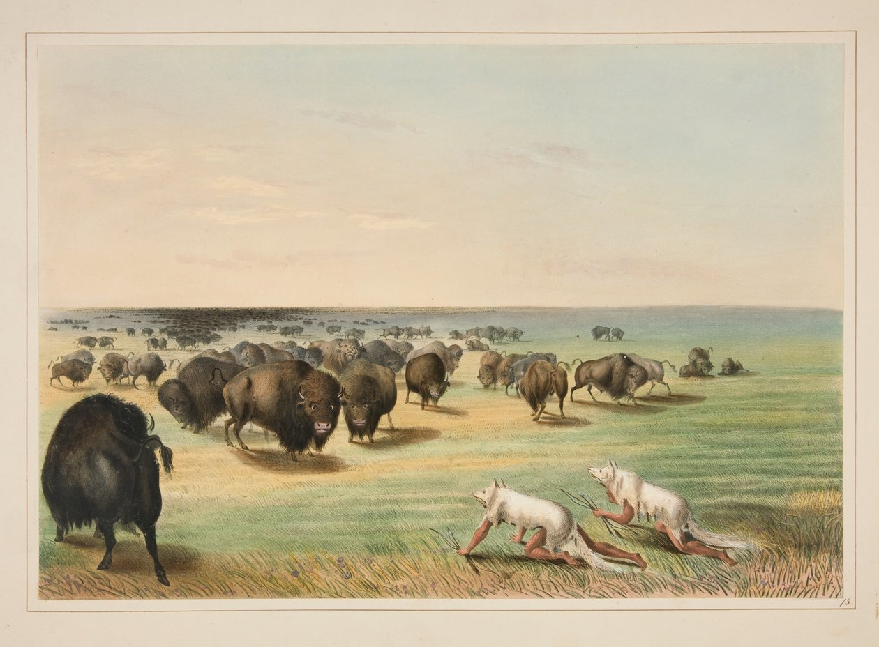 Buffeljacht, onder de huid van de witte wolf, plaat 13 uit het portfolio van Noord-Amerikaanse indianen door George Catlin