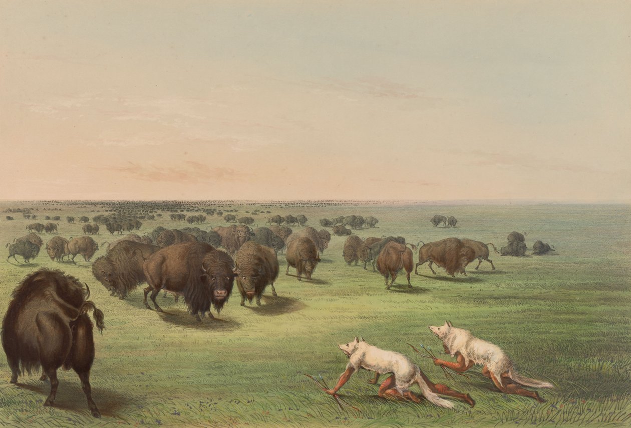 Buffeljacht, met wolvenhuid, pl. 13 uit de „North American Indian Portfolio” door George Catlin