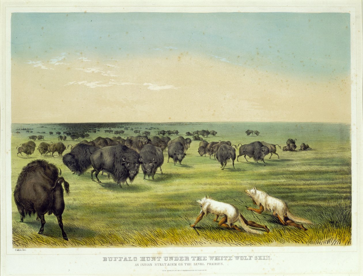 Buffeljacht onder de huid van de witte wolf door George Catlin