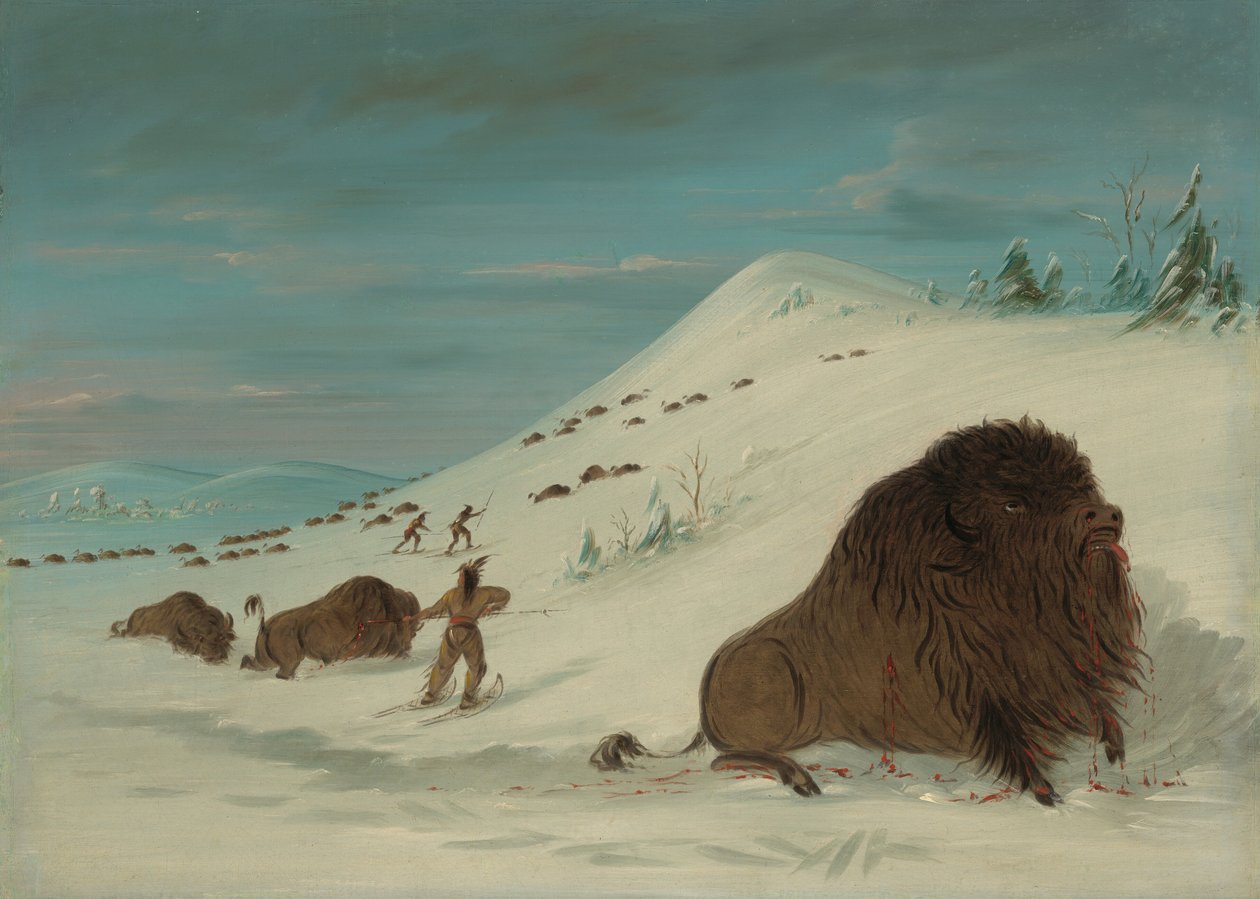 Buffalo Lancing in de sneeuwdriften - Sioux door George Catlin