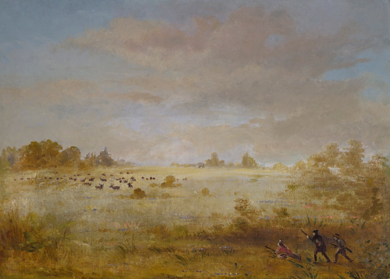 Elanden grazen op een herfstige prairie door George Catlin