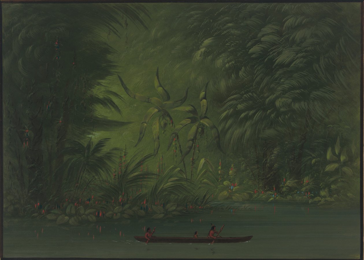 Ingang naar een Lagune, Oever van de Amazone door George Catlin