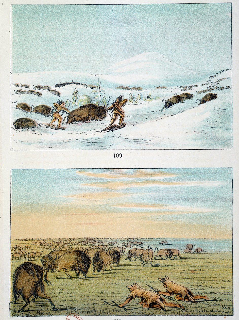 Indianen van Amerika. Bisonjacht: Indianen dragen sneeuwschoenen om in de winter te jagen en bedekken zich met wolvenhuid in de zomer. Illustratie door George Catlin (1794-1872) door George Catlin
