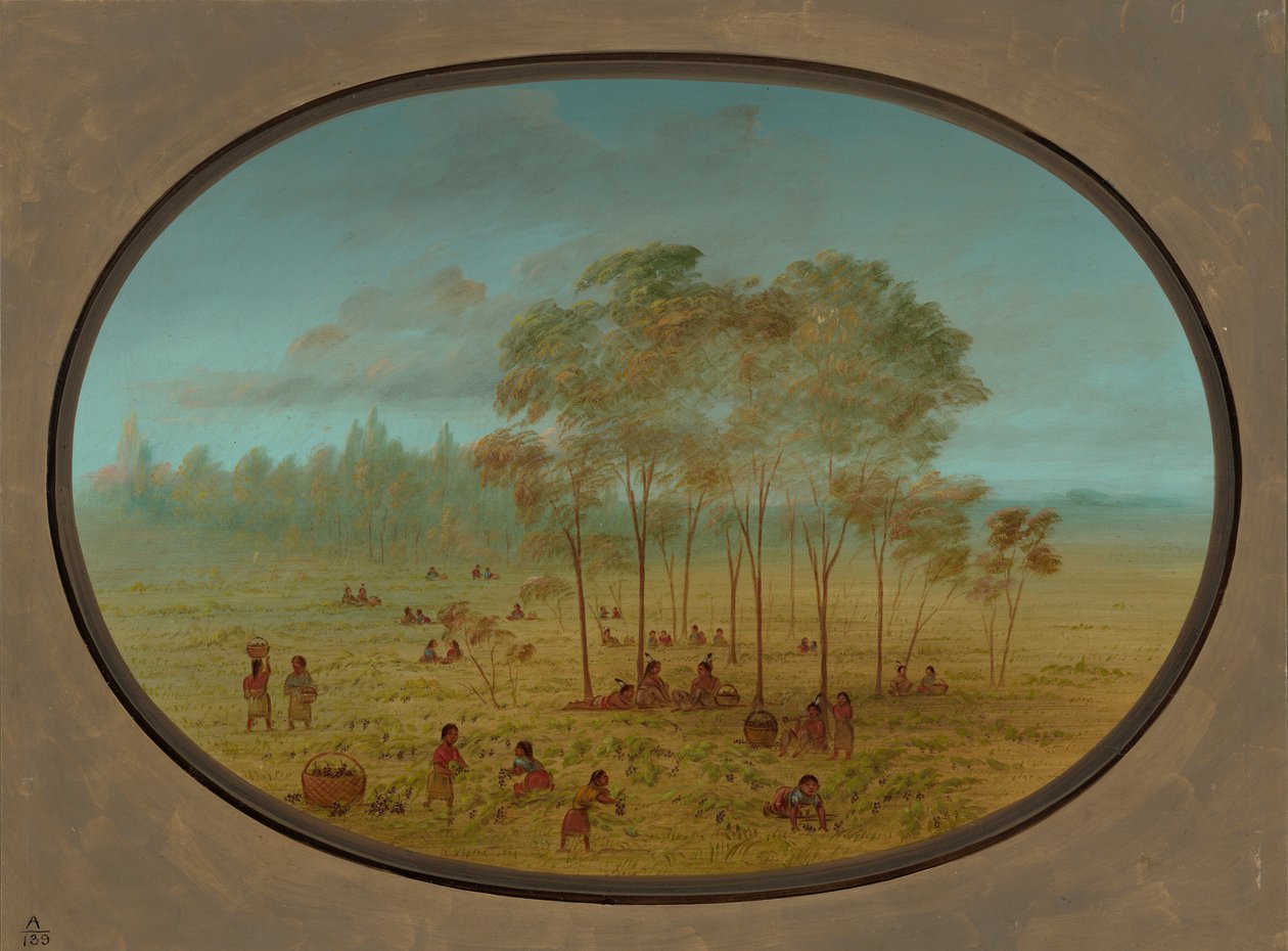 Kiowa Indianen verzamelen wilde druiven, 1861-1869 door George Catlin