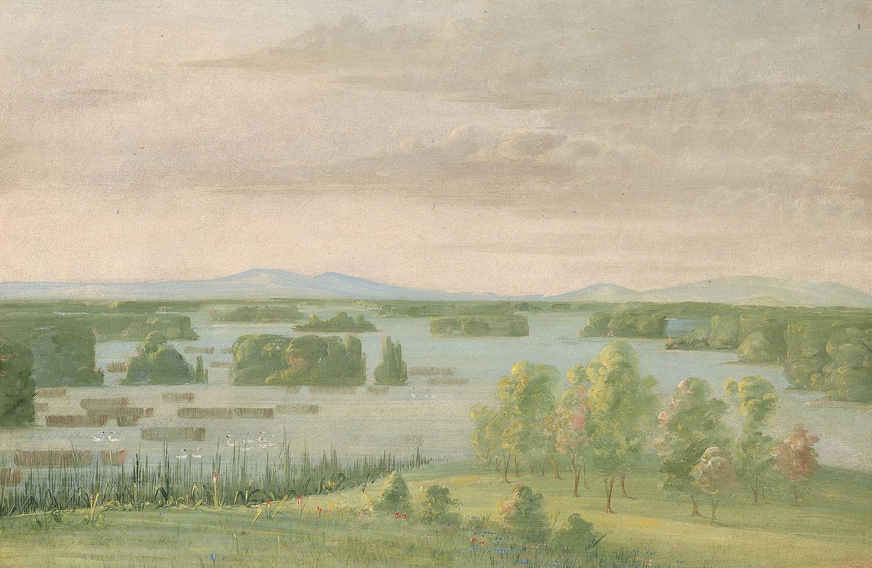 Lac du Cygne (Zwanenmeer), bij het Coteau des Prairies door George Catlin