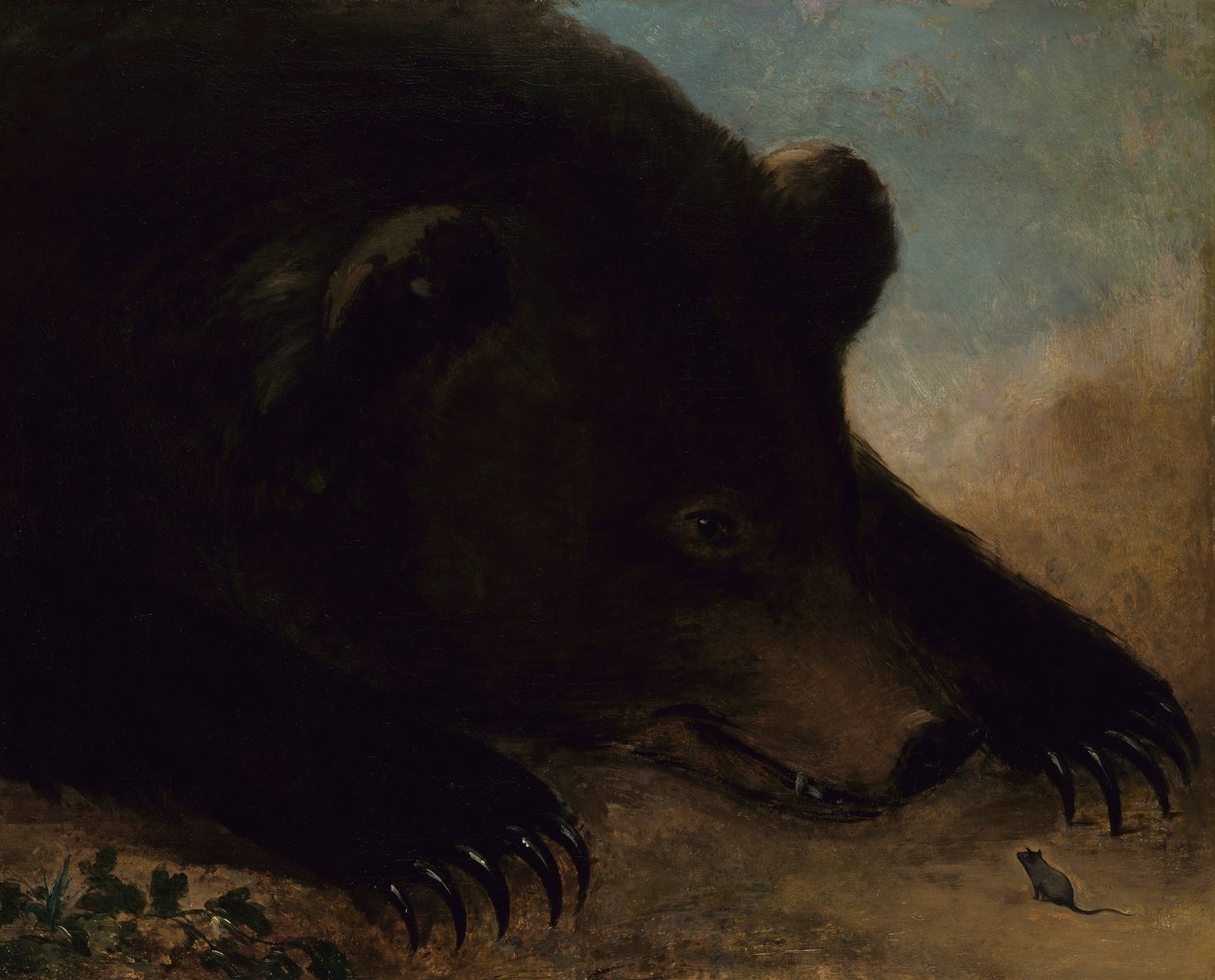 Portretten van een grizzlybeer en muis, levensgroot door George Catlin