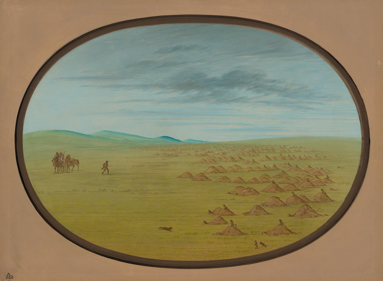 Prairiehondendorp, 1861-1869 door George Catlin