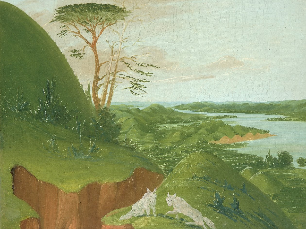 Rivierkliffen met witte wolven op de voorgrond, Boven-Missouri door George Catlin