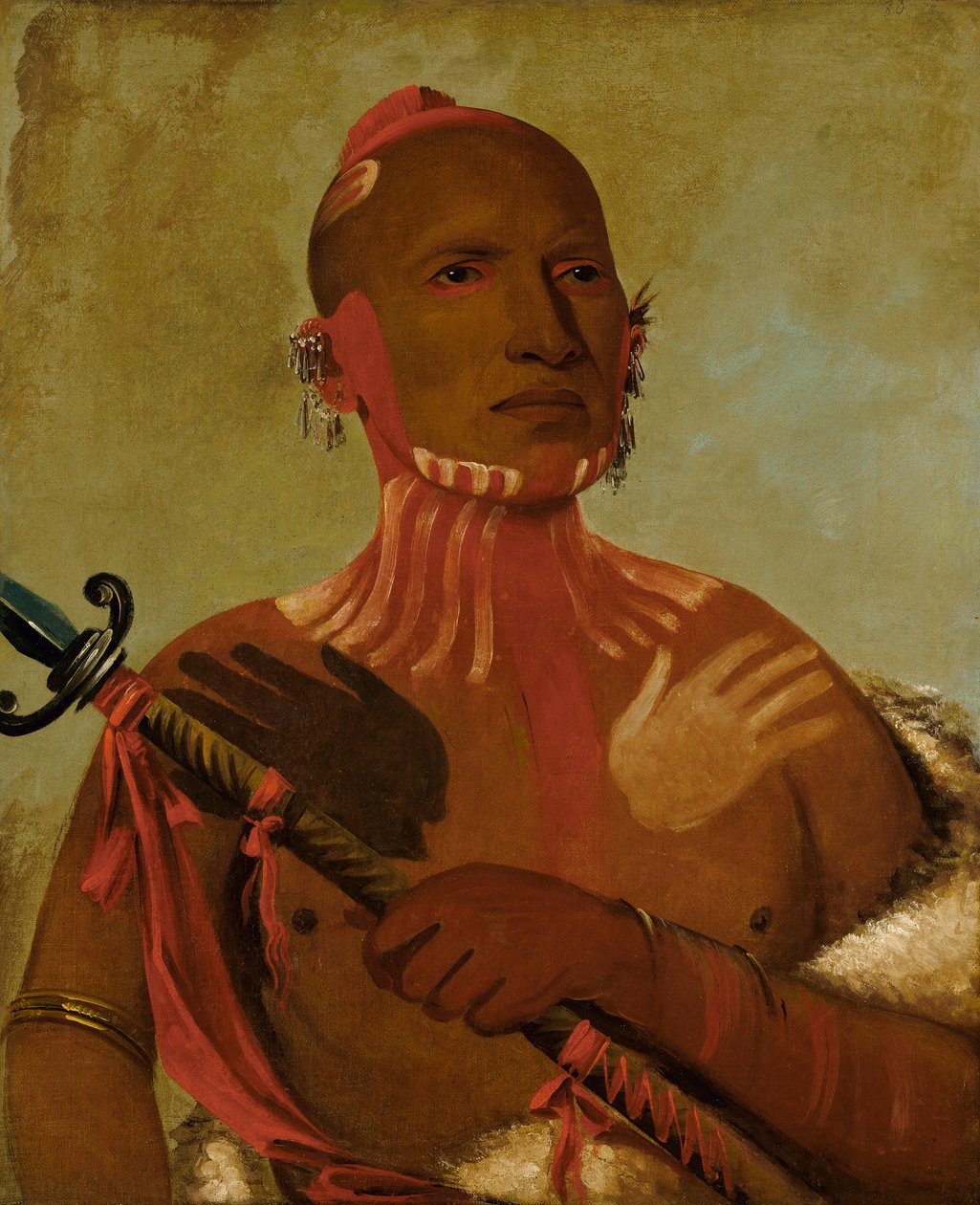 Wée-blad, steurhoofd, een vossenkrijger door George Catlin