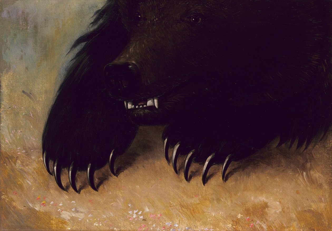 Wapens en fysionomie van de grizzlybeer door George Catlin