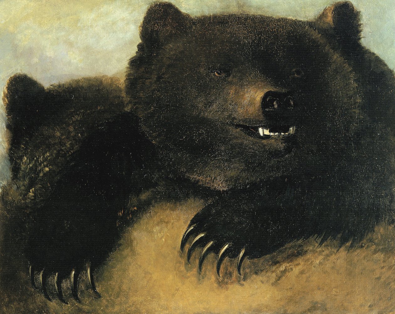Wapens en fysionomie van de grizzlybeer door George Catlin