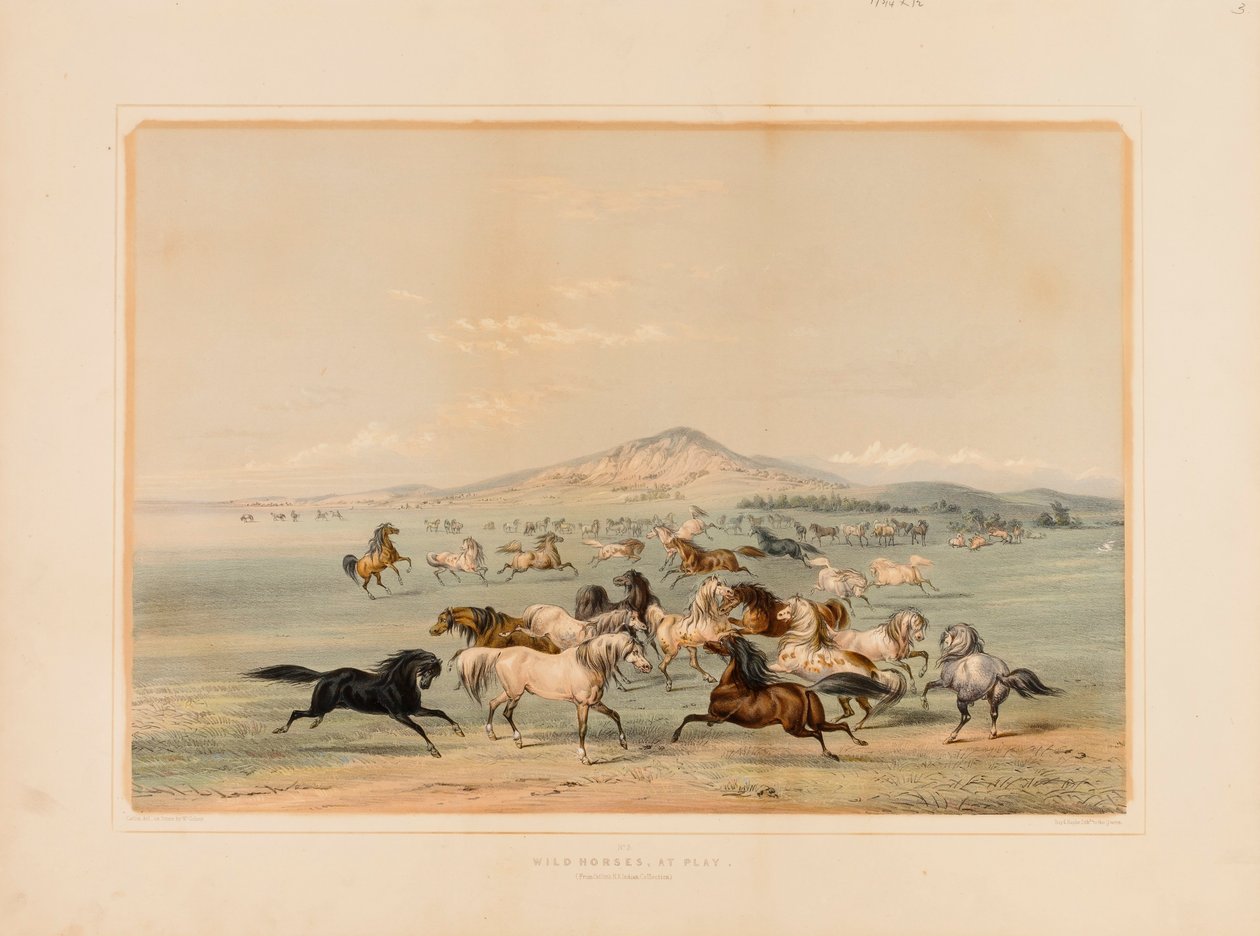 Wilde paarden aan het spelen - nr. 3 door George Catlin