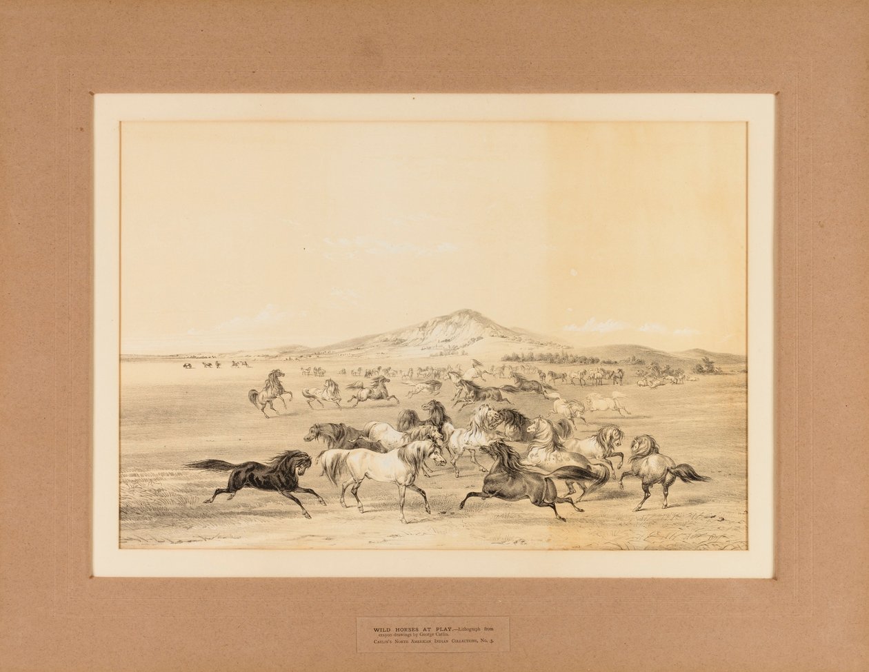 Wilde paarden aan het spelen - nr. 3 door George Catlin