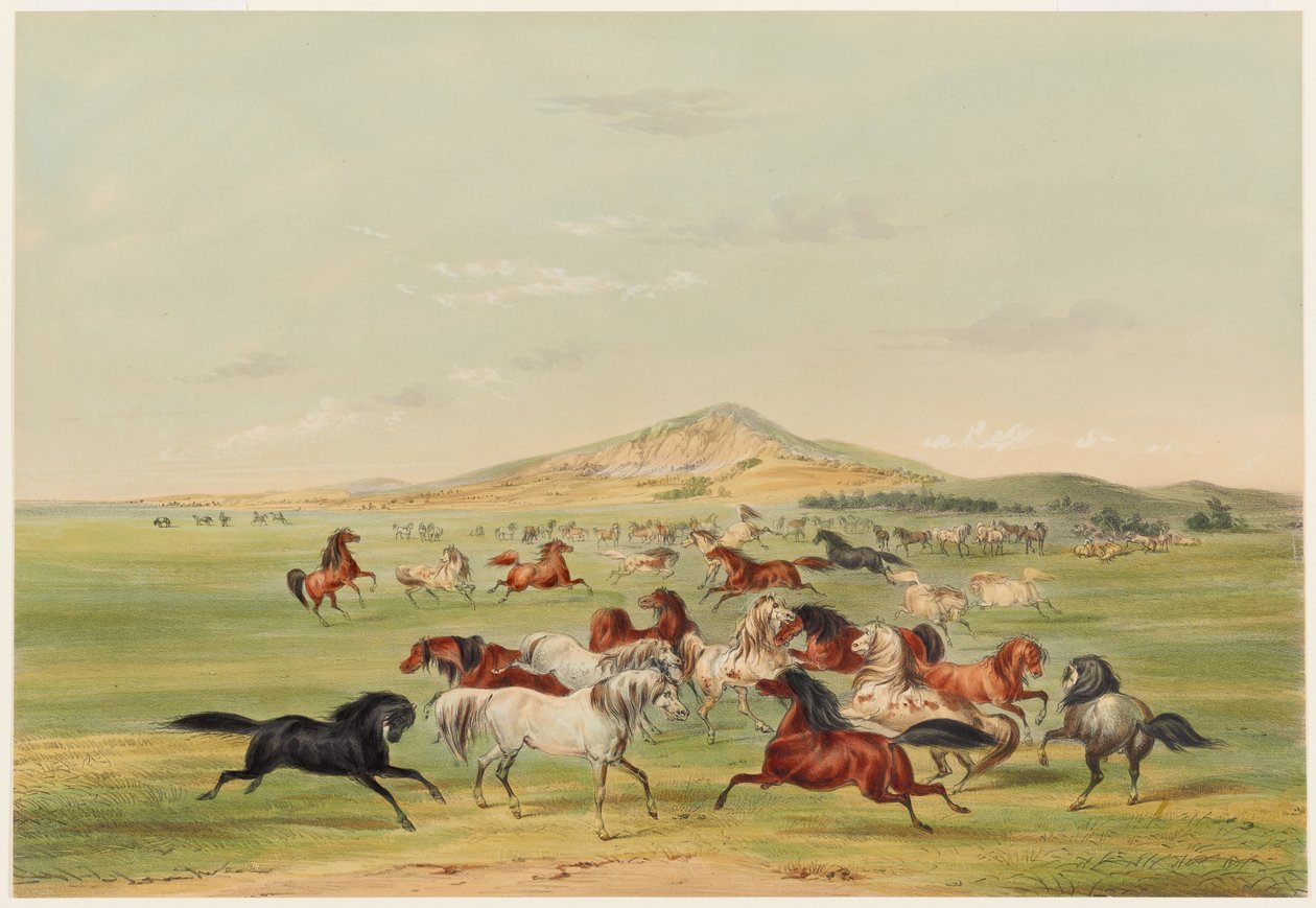 Spelende wilde paarden door George Catlin