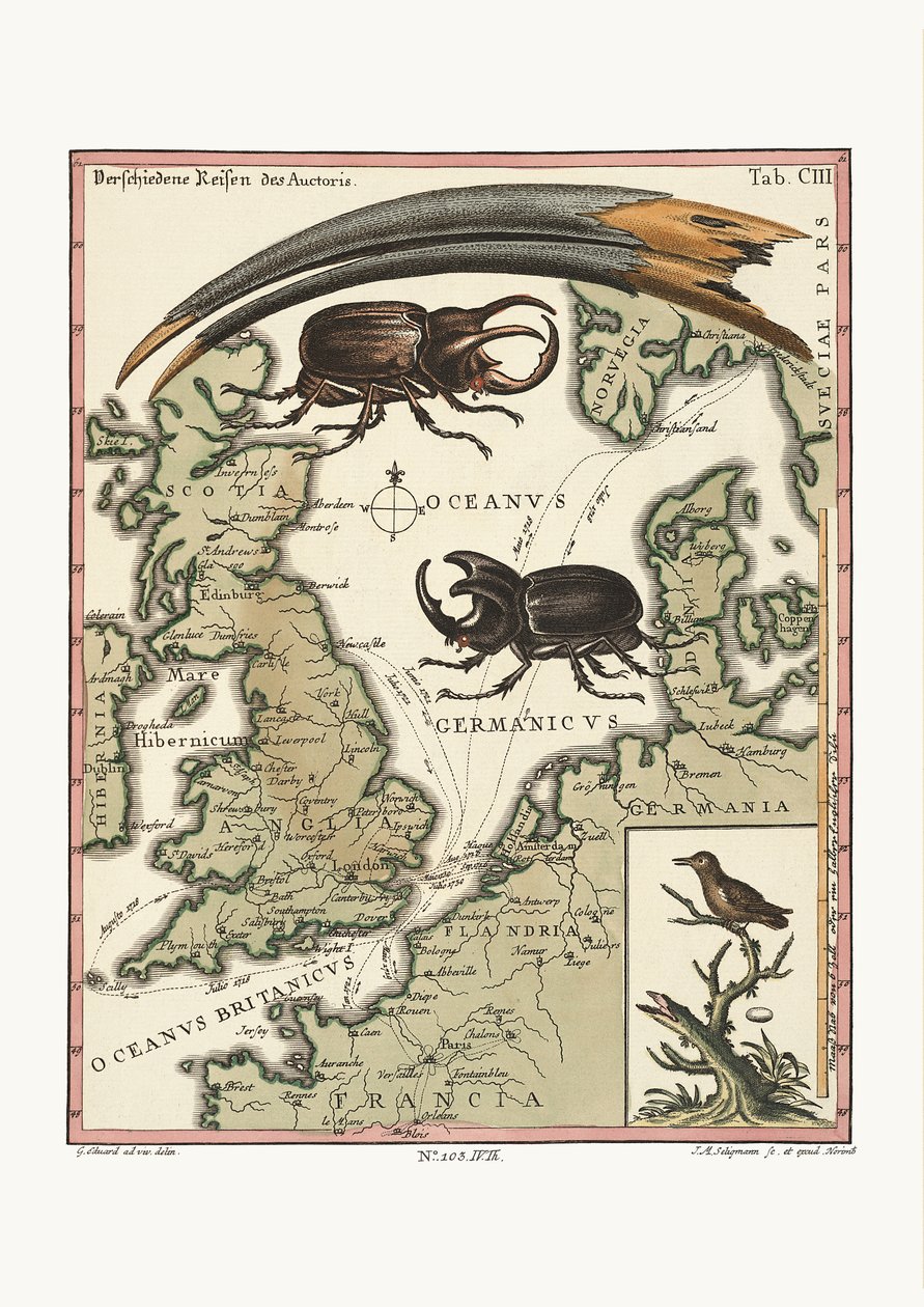 De snavel van de Egyptische Ibis en de kleinste kolibrie, 1749-73 door George Edwards