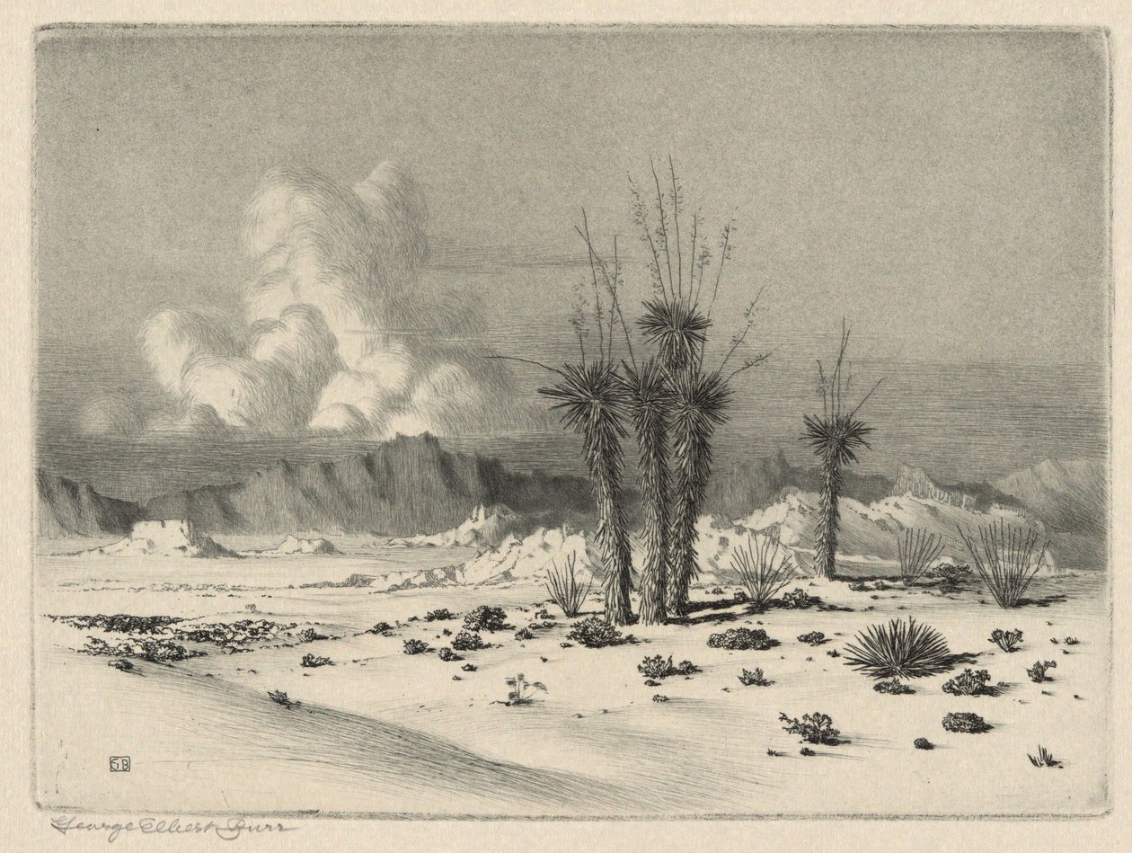 Avond, Arizona door George Elbert Burr