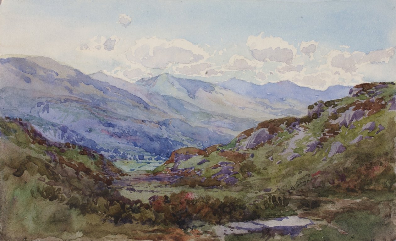 Van boven Pont-y-Pant door George Elbert Burr